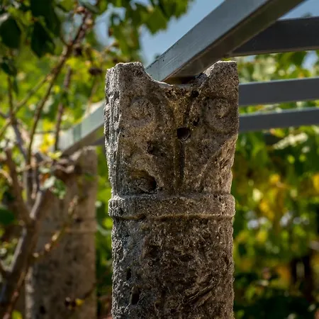 Διαμέρισμα Old Garden
